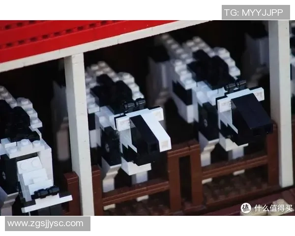 上海极限运动队成员个人能力深度对比与分析探讨